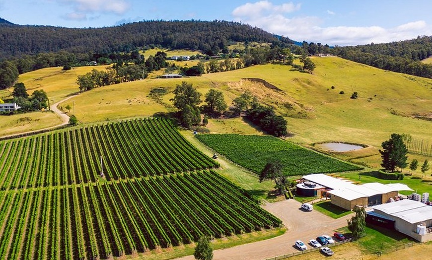 Image 10: Tasmanian Premium Wine Tour with Tasmanian Cheese Platter