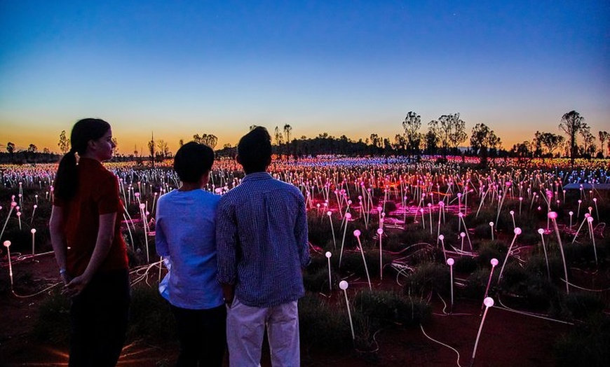 Image 1: Uluru (Ayers Rock) Field of Light Sunrise Tour