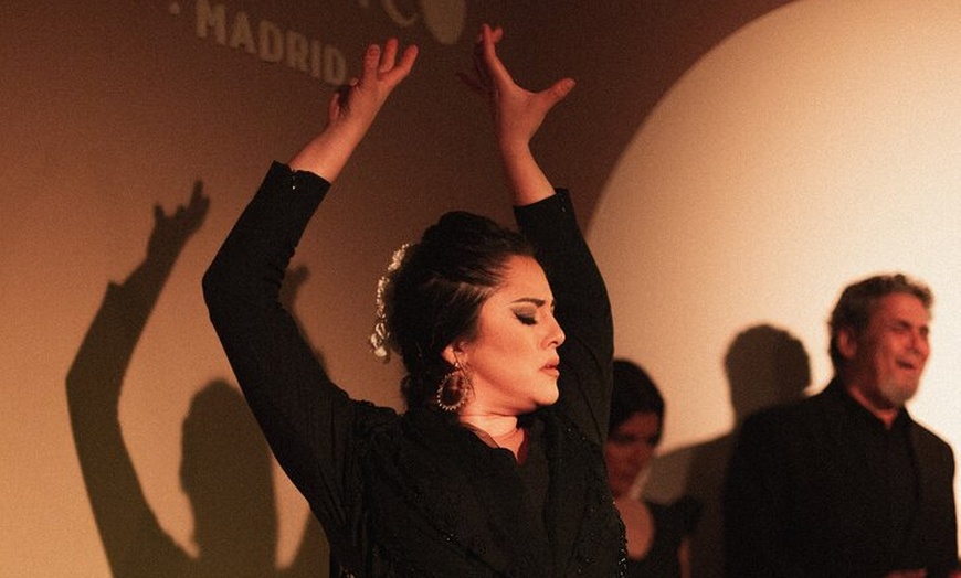 Image 13: Entrada al Centro Cultural Flamenco de Madrid