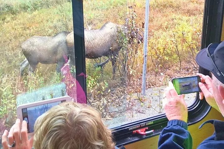 Anchorage Trolley's Deluxe City Tour