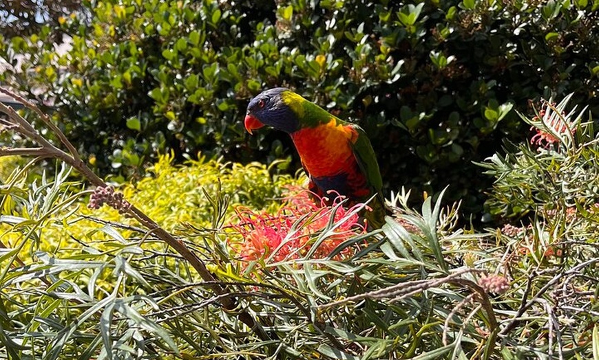 Image 5: Half-Day Sydney Heritage Walking Tour