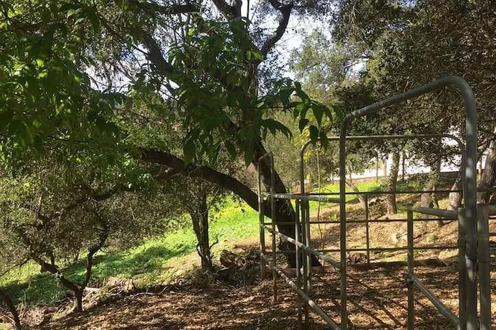 2 Hour Wildflower Horseback Trail Ride experience in Agoura Hills