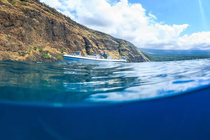 Dolphin, Sea Cave & Captain Cook Snorkel Combo in Kealakekua Bay