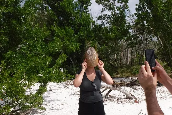 10,000 Islands Boat Excursion - 3.5-Hour Dolphins & Shelling Tour