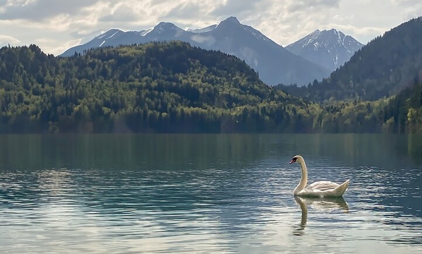 Image 3: Legendäres Erlebnis von Schloss Neuschwanstein