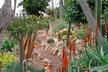 Oahu Circle Island Tour - Second Medium