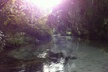 Silver Springs Self Guided Clear Kayak Rentals - Second Medium