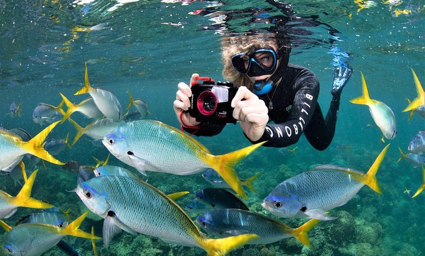 Image 4: Sunlover Reef Cruises Cairns Great Barrier Reef Experience