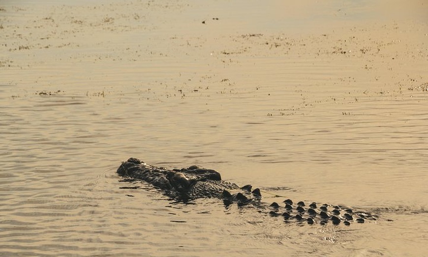Image 6: Yellow Water Cruise - Kakadu