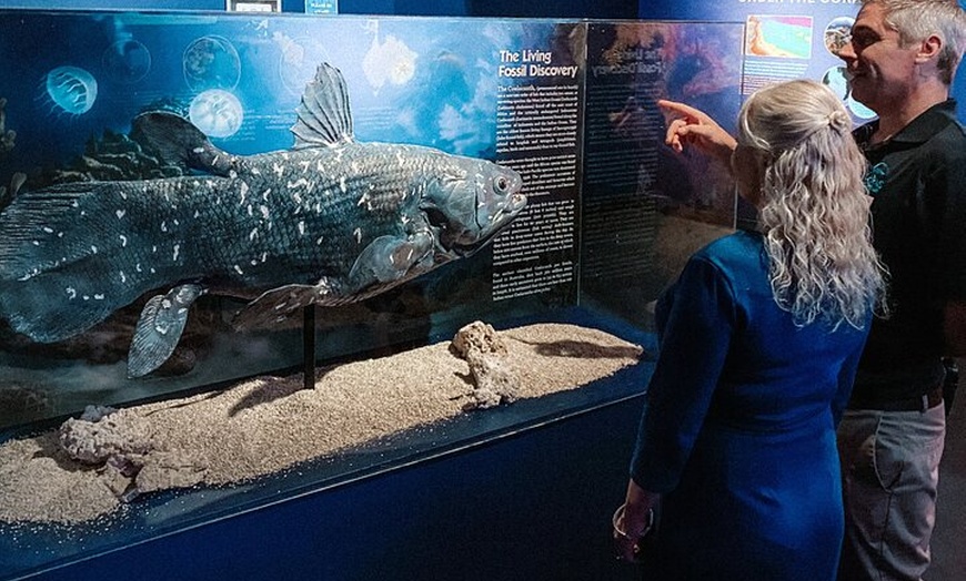 Image 3: Cairns Aquarium by Twilight: Ancient Oceans Tour and 3-Course Dinner