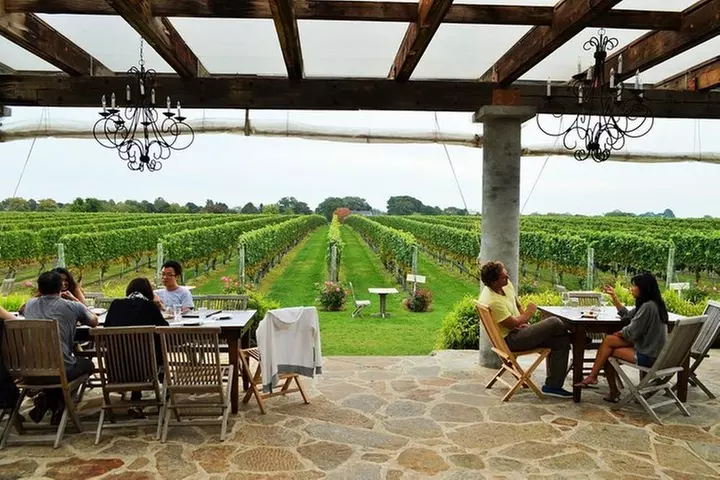 Long Island Winery Tour