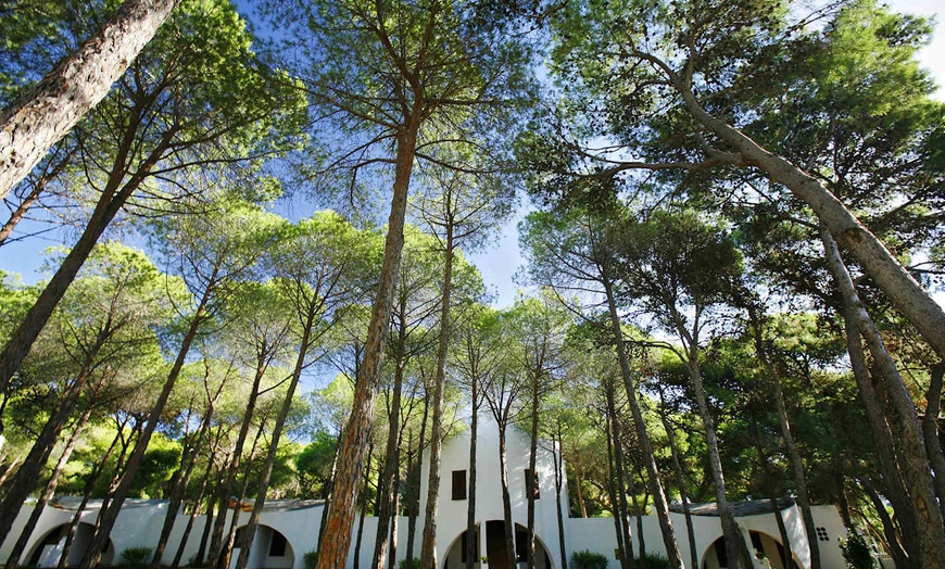 Image 8: ✈ SARDAIGNE | Santa Margherita di Pula - Hotel Mare Pineta - Adults...