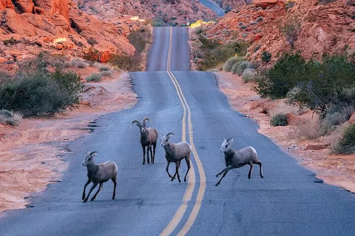 Valley of Fire State Park on a Slingshot