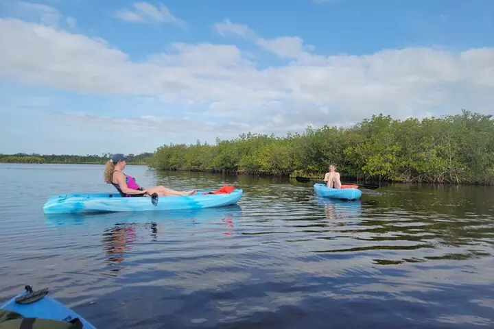 New Smyrna Dolphin and Manatee Kayak and SUP Adventure Tour
