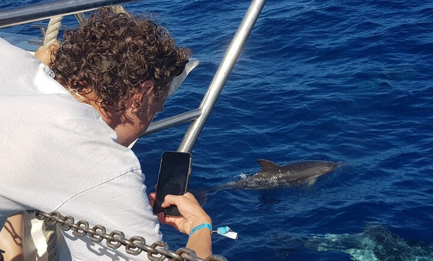 Image 4: Tour de Medio-Dia en Crucero-Observación de Delfines y Ballenas