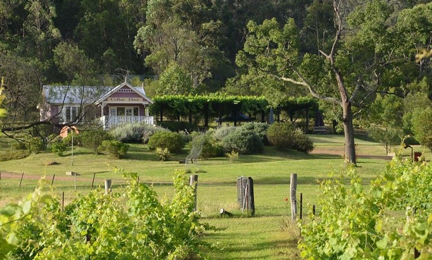 Image 3: Chef-Led Hunter Valley Gourmet Food and Wine Day Tour from Sydney