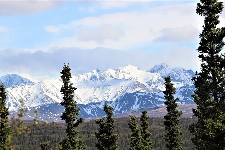 The Beauty of the North Tour
