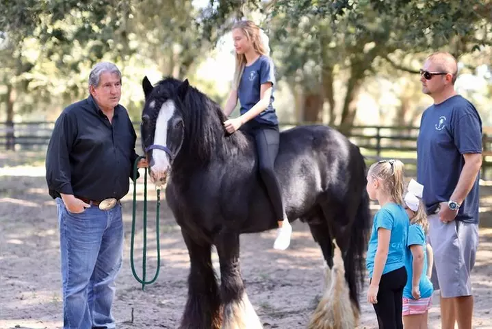Gypsy Gold Horse Farm Tour