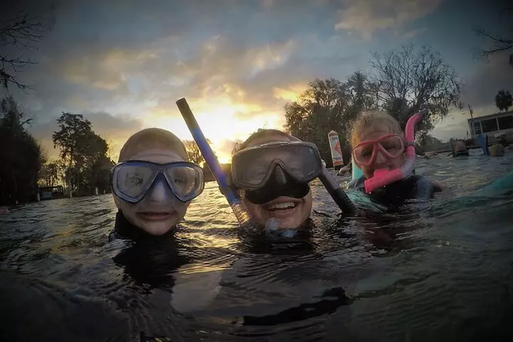 3 hours Manatee Swim Tour in Florida