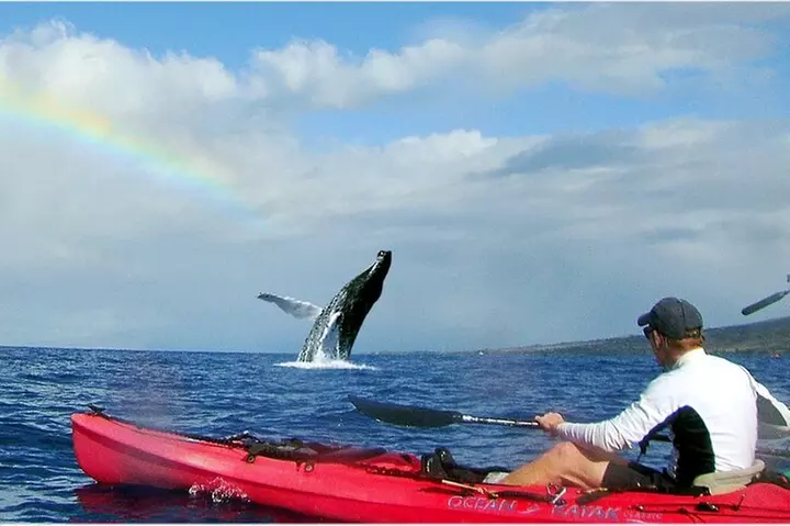 Kayak and Snorkel in West Maui at Olowalu
