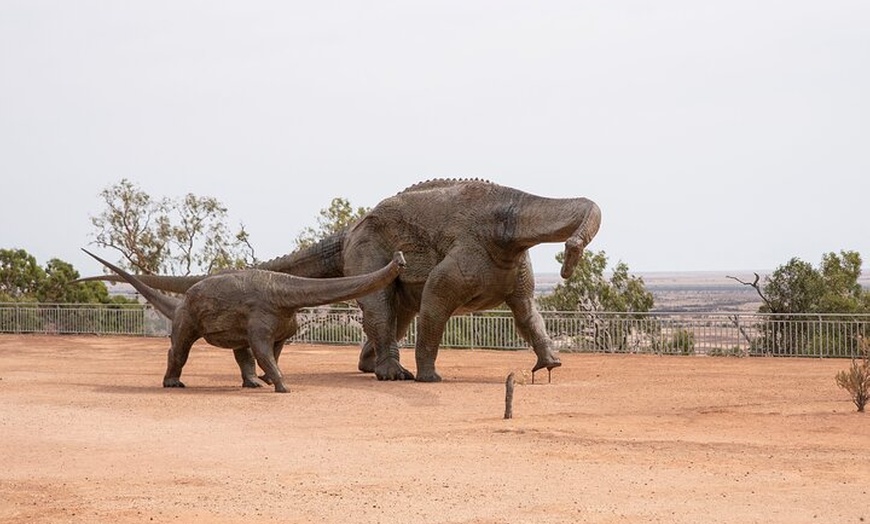 Image 1: Winton Discovery Day Tour