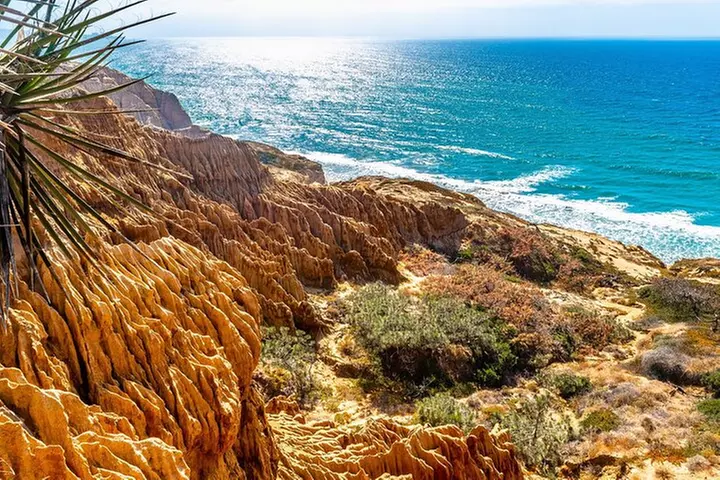 Beaches & Bluffs San Diego's Ultimate Coastal Driving Tour