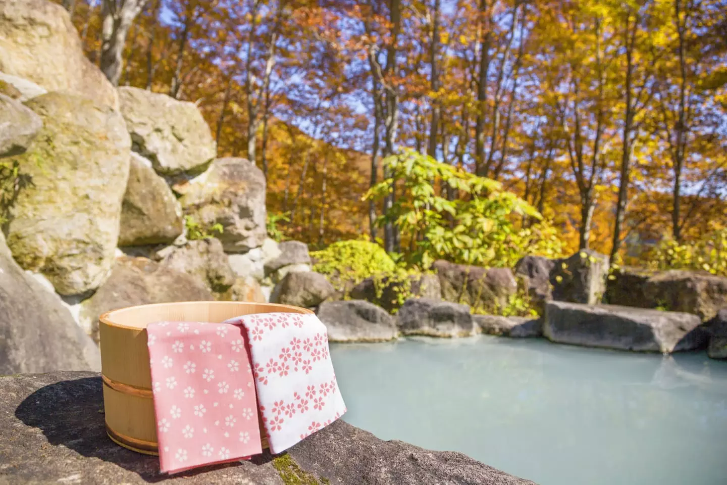 ✈ GIAPPONE | Da Tokyo a Osaka - Il meglio del Giappone e delle sorg...