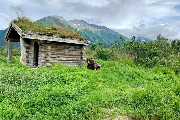Valley of Glaciers Experience with Portage Glacier Cruise and Wildl...