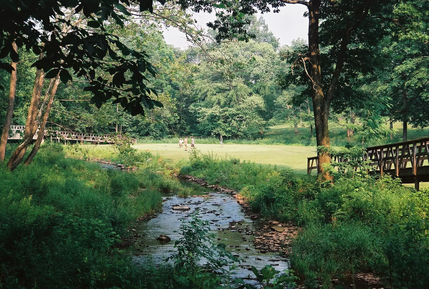 $100 For A Round Of Golf For 4 Including Cart (Reg. $220) - Image 3