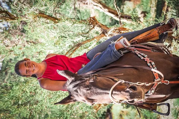 Las Vegas Horseback Riding Adventure