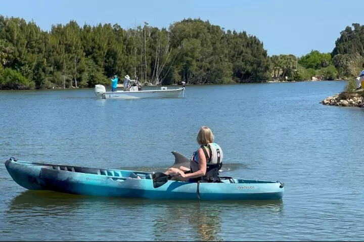 Wildlife Refuge Dolphin, Manatee & Mangrove Kayak or Paddleboarding...