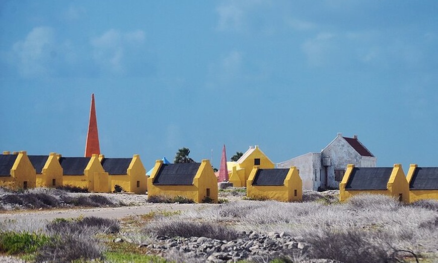 Image 9: Luc's Bonaire Open Bus Tour