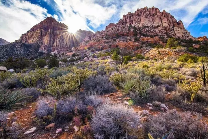 The Ultimate Red Rock Canyon Scenic Experience