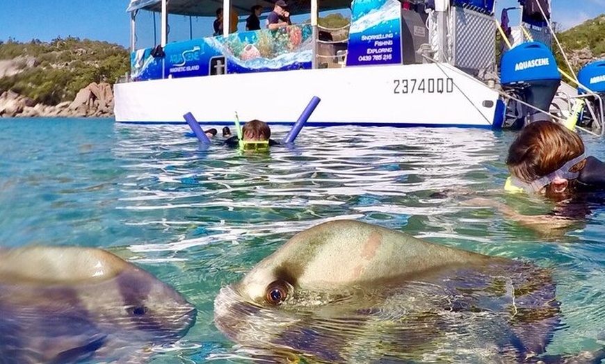 Image 8: Aquascene Magnetic Island Discovery Tour