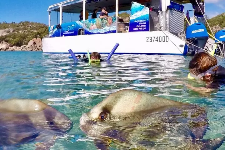 Magnetic Island Discovery Tour with Snorkeling & Paddle Boarding