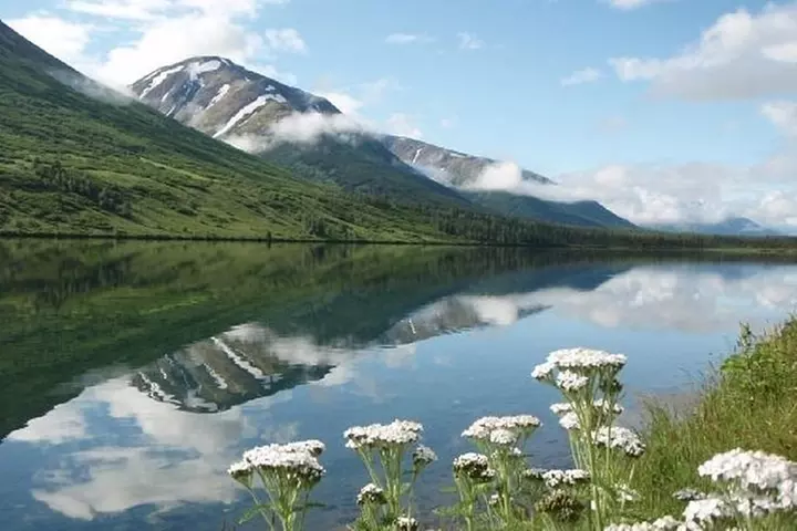 Anchorage to Whittier Cruise Transfer and Private Tour
