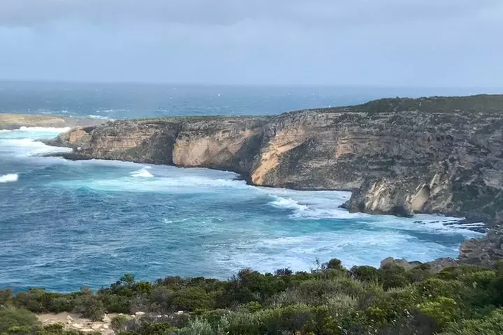 Kangaroo Island Scenic Nature and Wildlife Day Tour - Primary Image