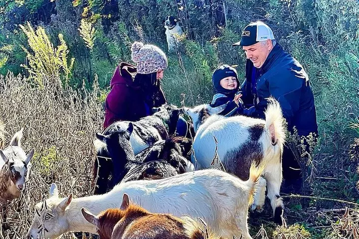 Haute Goat Shmurgle in Ontario - Primary Image