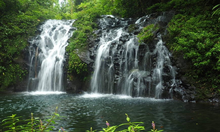 Image 6: ✈ COSTA RICA | San José - Autotour entre forêt tropicale et plage e...