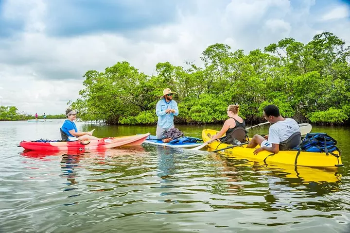 Rookery Bay Kayak Adventure – Mangroves, Wildlife & Photos
