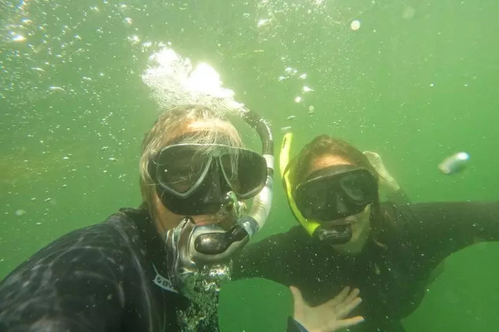 3 Hour Small Group All Inclusive Manatee Swim with free Photo pkg