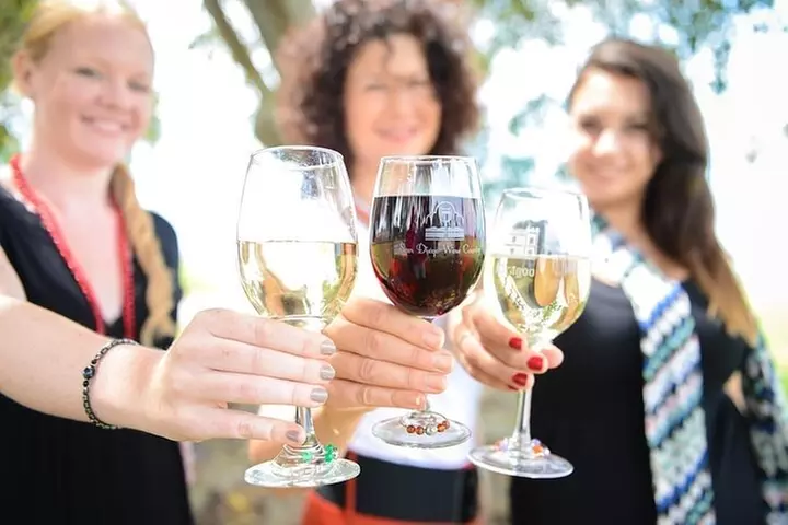 Chauffeured Adventure to Local San Diego Vineyards - Primary Image