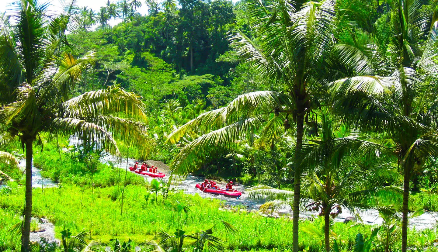 ✈ BALI | Ubud & Legian - Scoperta delle Tradizioni Balinesi, 7 nott...