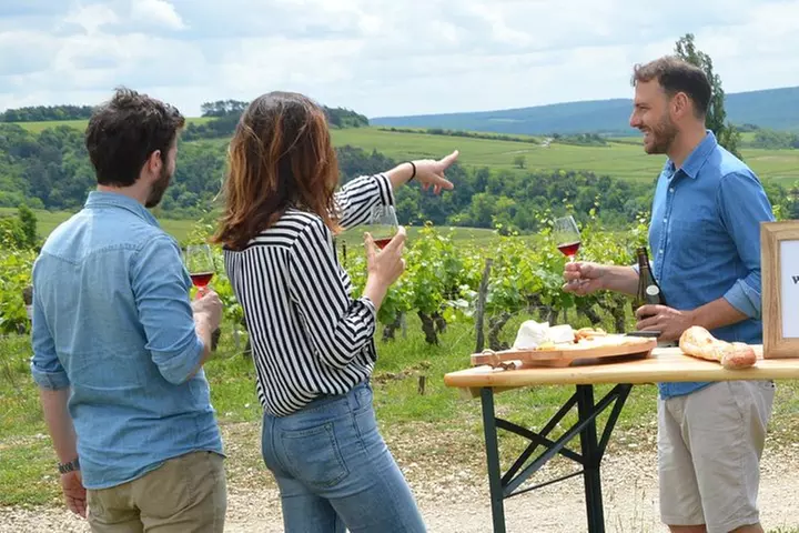 Visite des vins de Chablis et de Bourgogne en Sommelier avec déjeuner - Primary Image