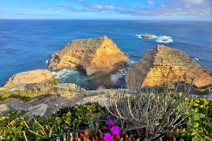 One Day Port Lincoln Tour - Tasting Eyre
