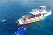 Turtle Canyons Snorkel Excursion from Waikiki, Hawaii - Second Medium