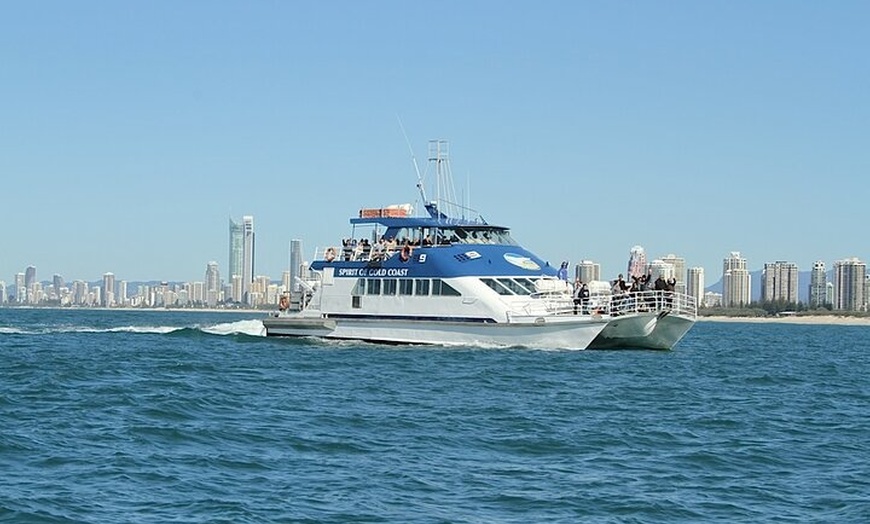 Image 5: Whale Watching Tour with Spirit of Gold Coast