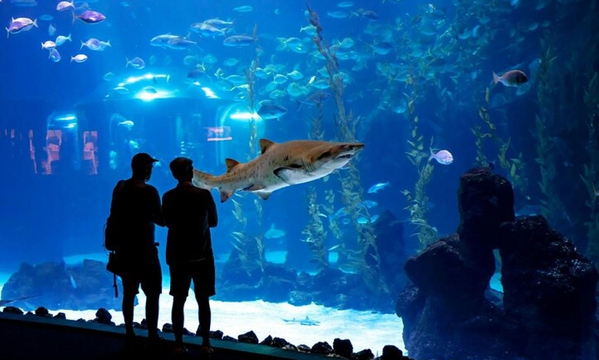 Image 5: Acuario Poema del Mar y Bus TUI Paquete