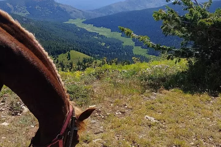 High Mountain scenic trail rides in the Teton Range