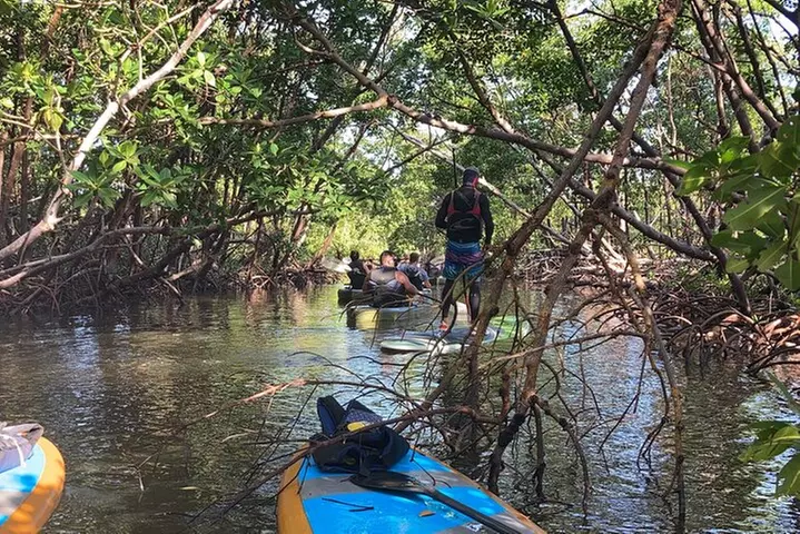 Kayak Tour Adventure Marco Island and Naples Florida